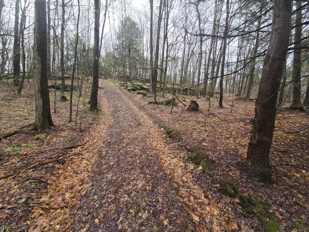 Picture 15
