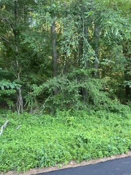 LAND - Monticello, AR