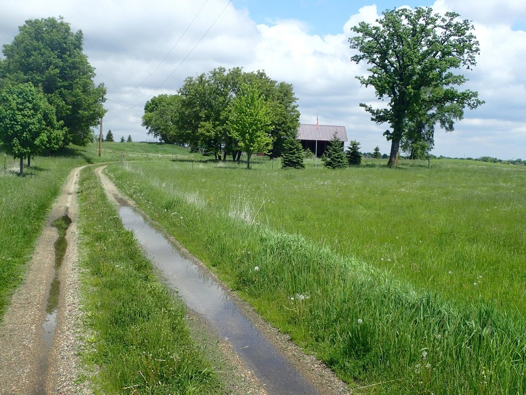 Picture 33