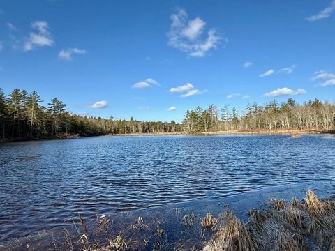 Land with Lake Frontage