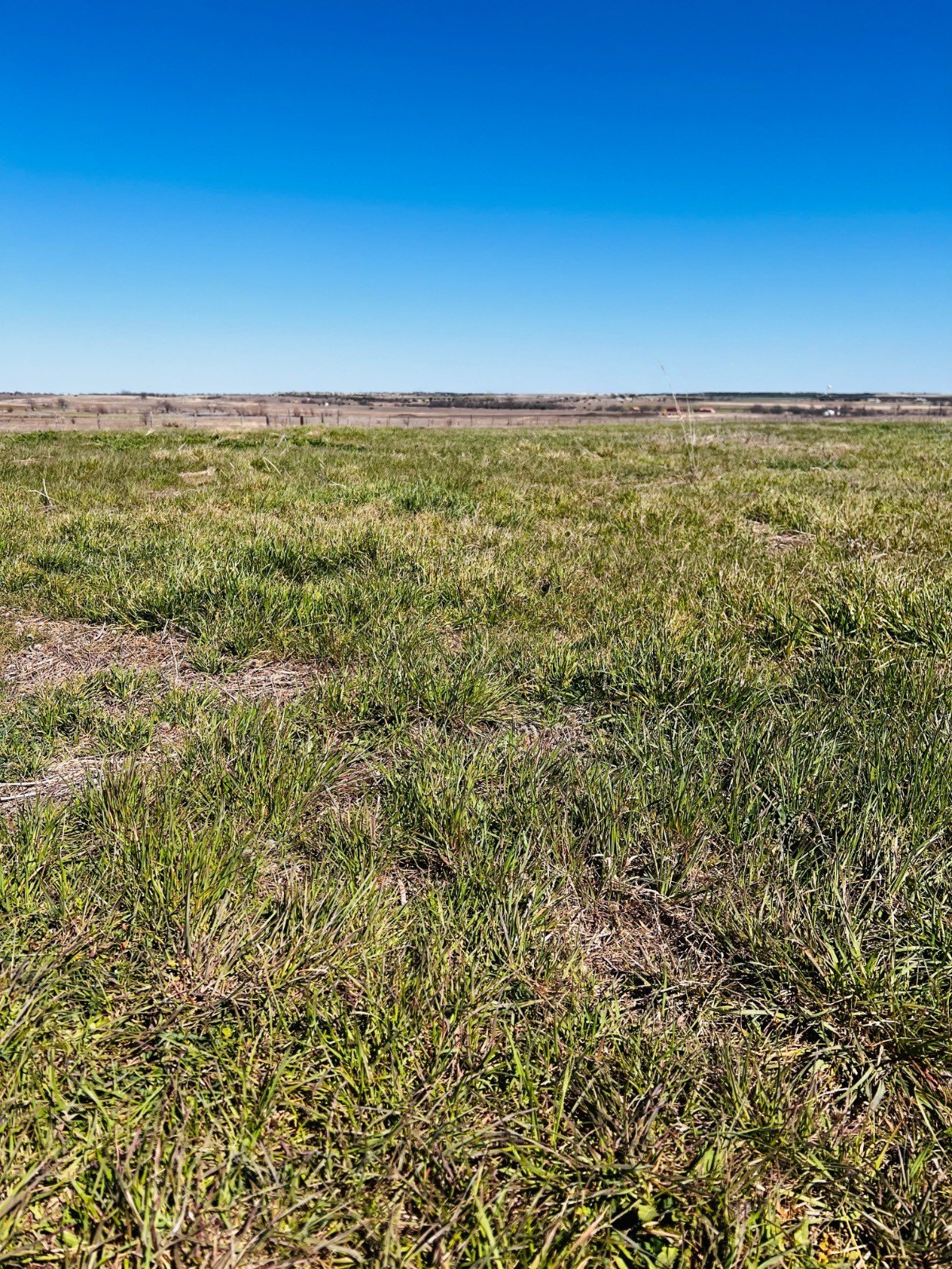 47 Acre Hill Country Tract
