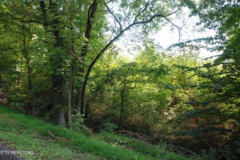 Lots & Acreage, Harriman, TN