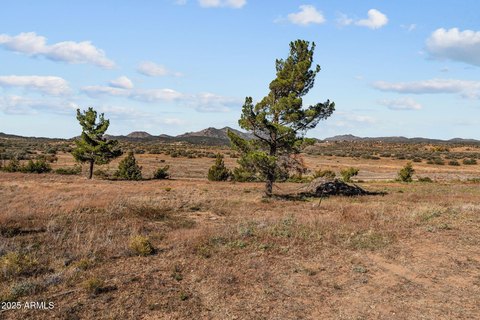Land, Peeples Valley, AZ