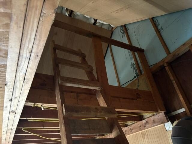 Picture 14