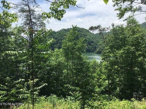 Land with Norris Lake Views