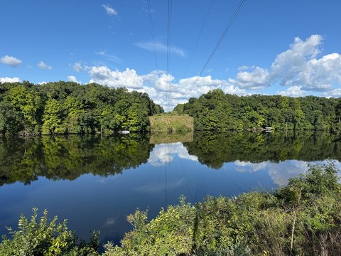Lakefront Wooded Land Parcel