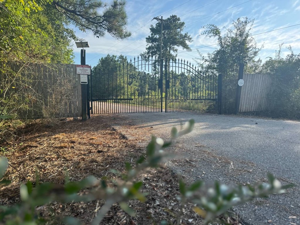 Picture 29