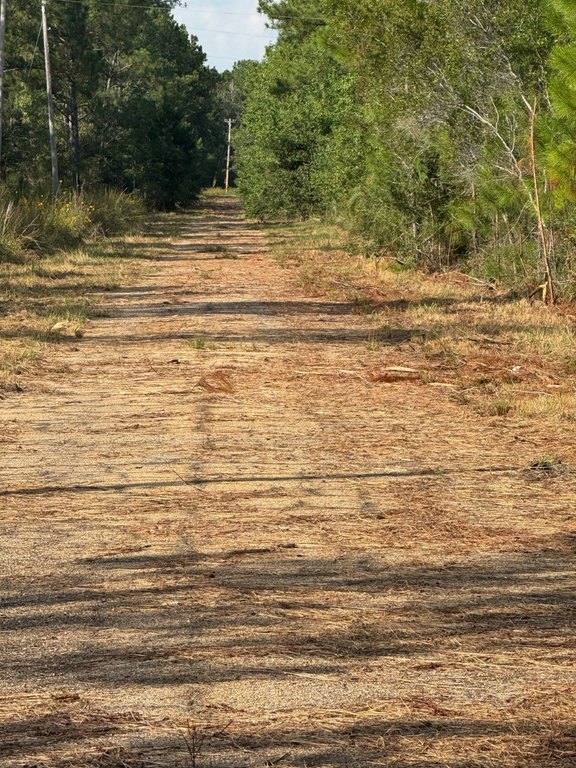 Picture 21