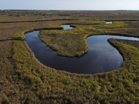 Gated Waterfront Hunting Land with Pond