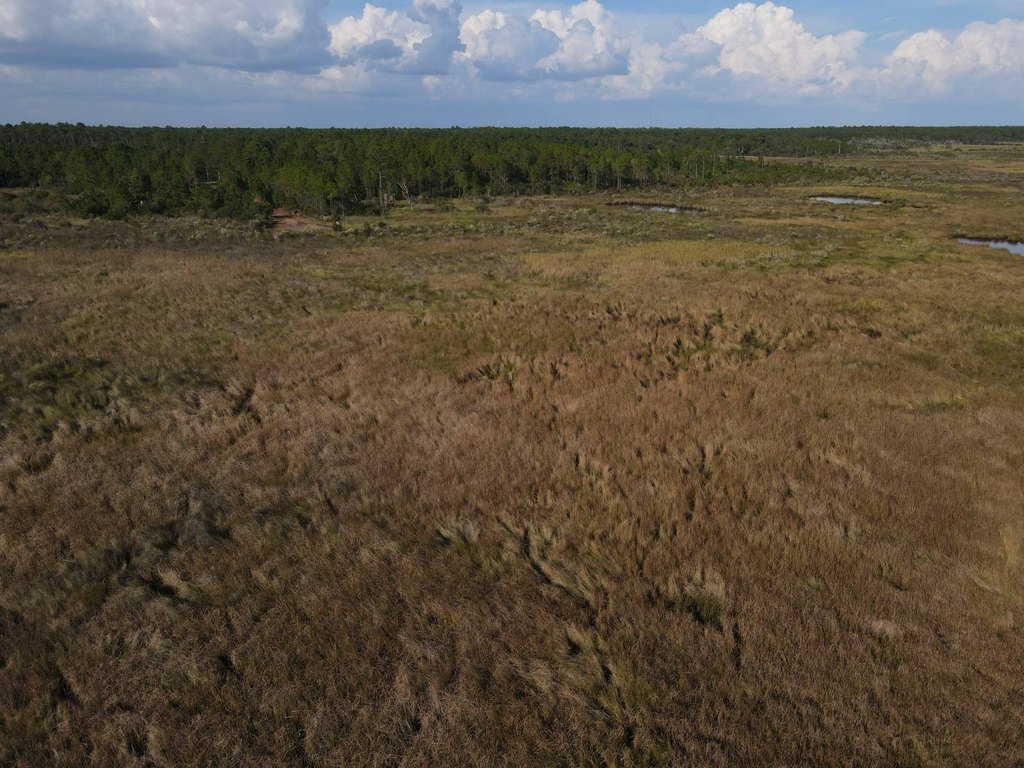 Picture 25