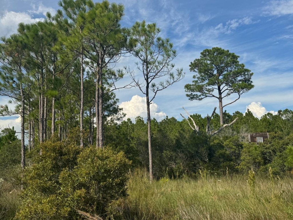 Picture 17