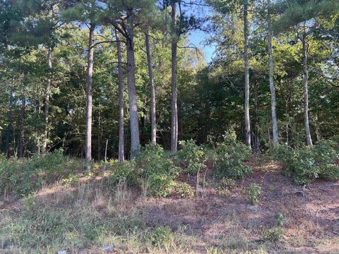 RESIDENTIAL, Amity, AR