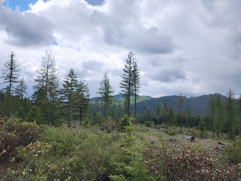 129 Acres with Timber Views