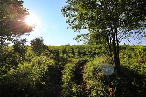 Land - Grand Isle, VT