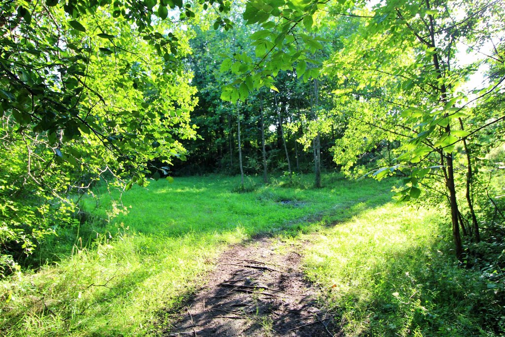 Picture 9