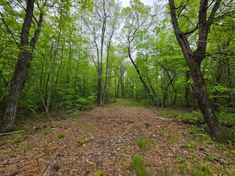 Holcombe Land Near Lake Holcombe