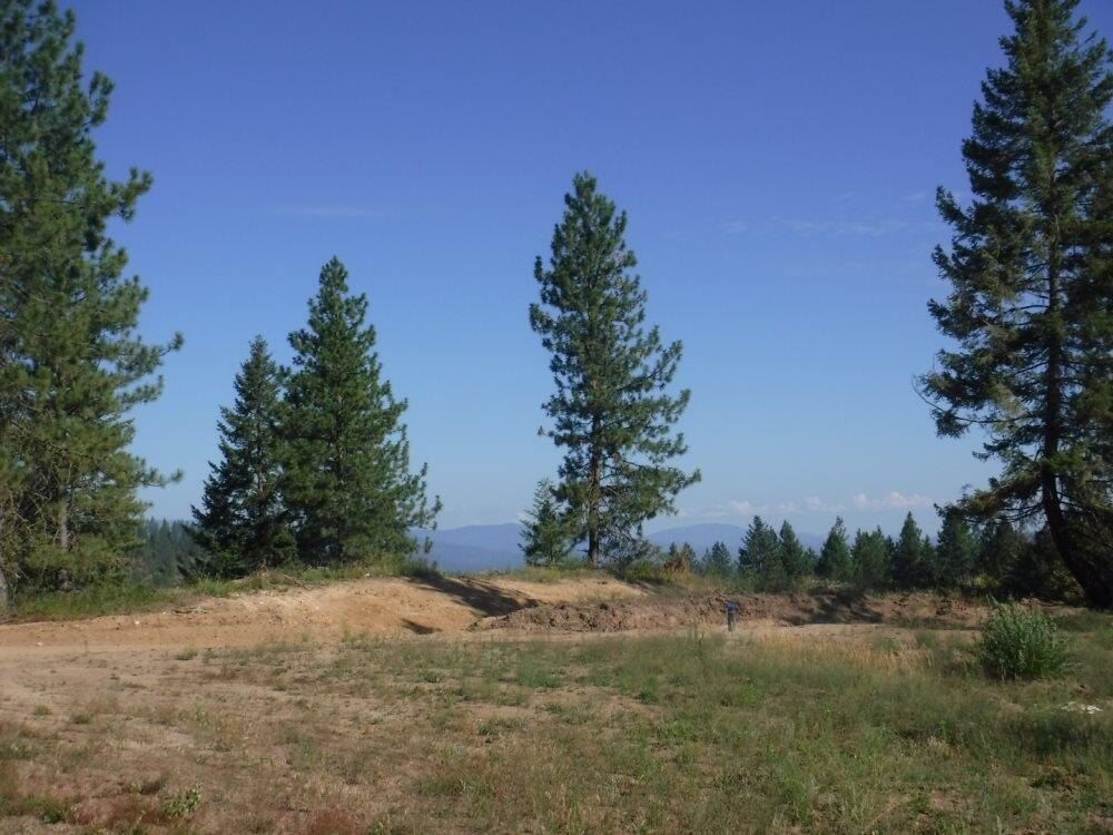 Picture 11