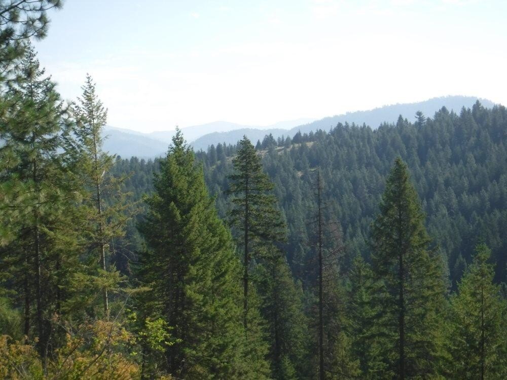 Picture 7