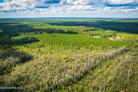 Wooded 50-Acre Tract in Sanderson