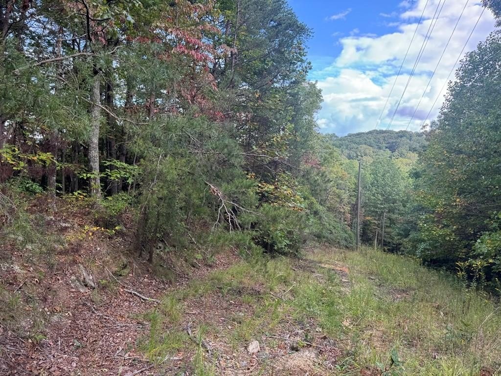 Land in Picturesque Georgia Landscape