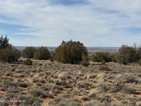 Expansive Land in Snowflake, Arizona