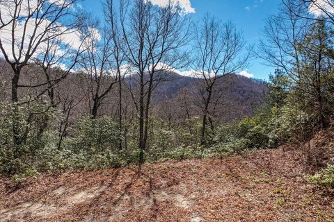 Land, Franklin, NC