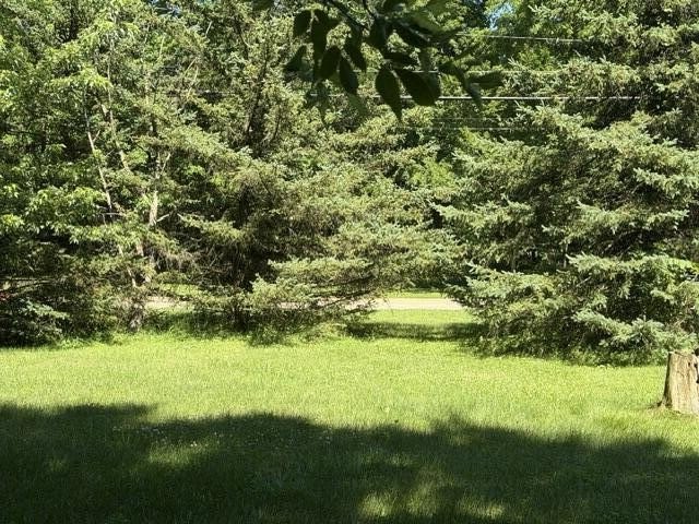 Picture 4