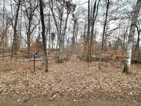 Wooded Lot Near Breezy Point