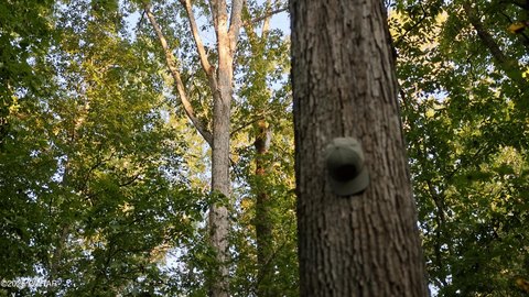 Hardwood Hunting Land