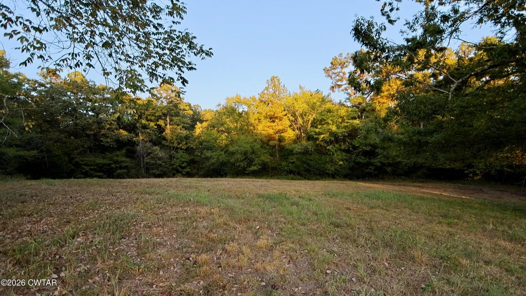 Picture 24