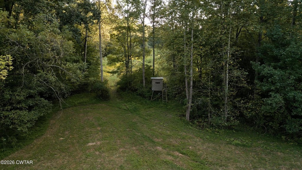 Picture 16