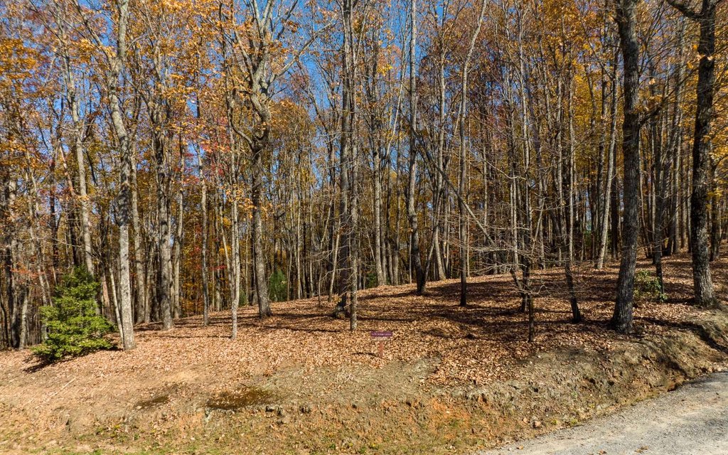 Picture 23