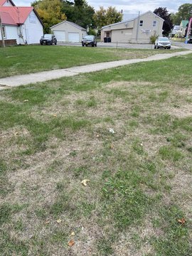 Ogdensburg Land on Main Street