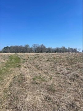 Hickory Plains Land For Sale
