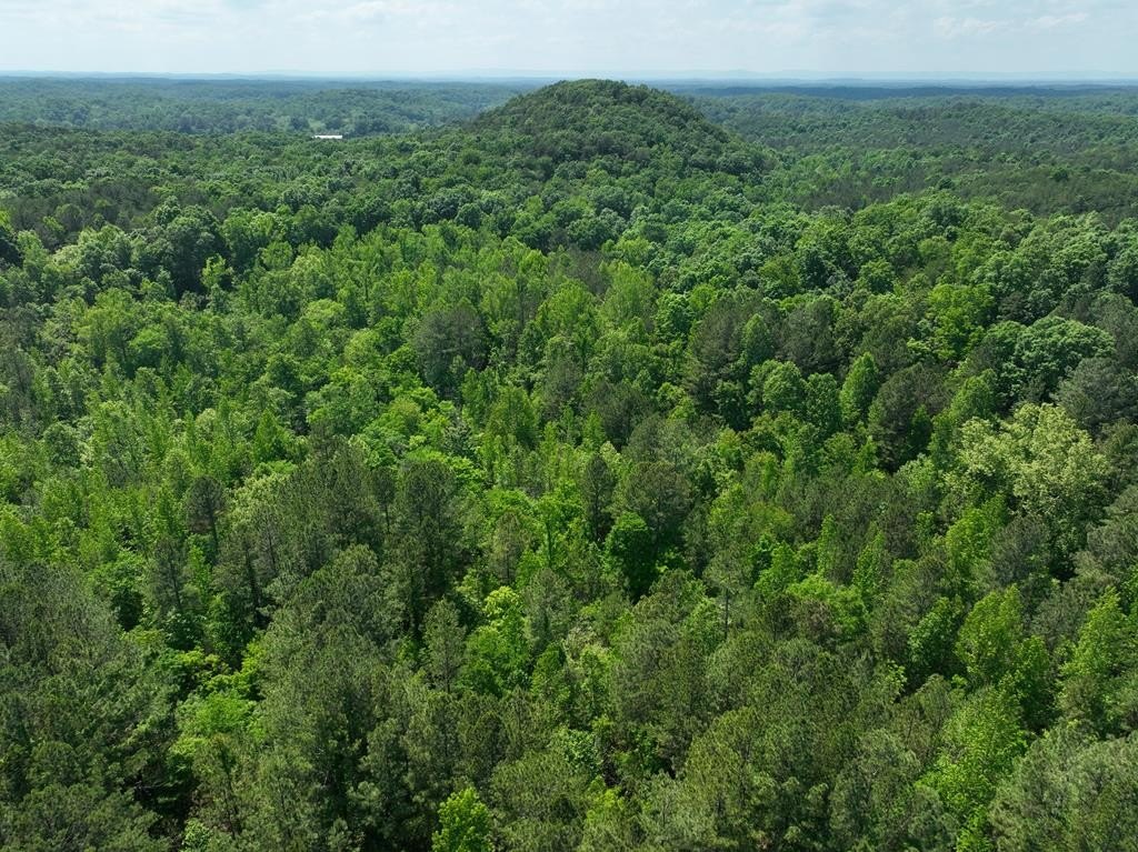 Ranger, GA Hunting Land