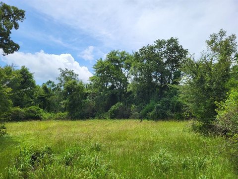 Land Near Lake Limestone