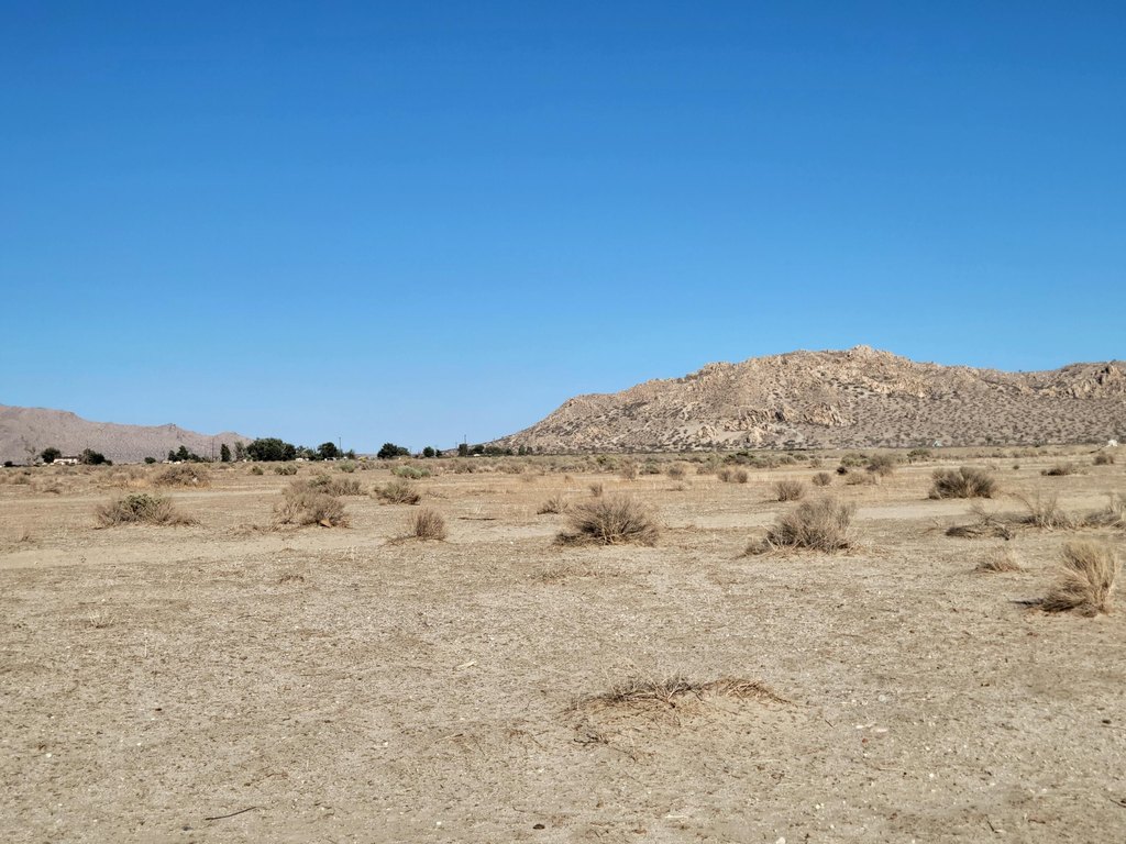 Picture 8