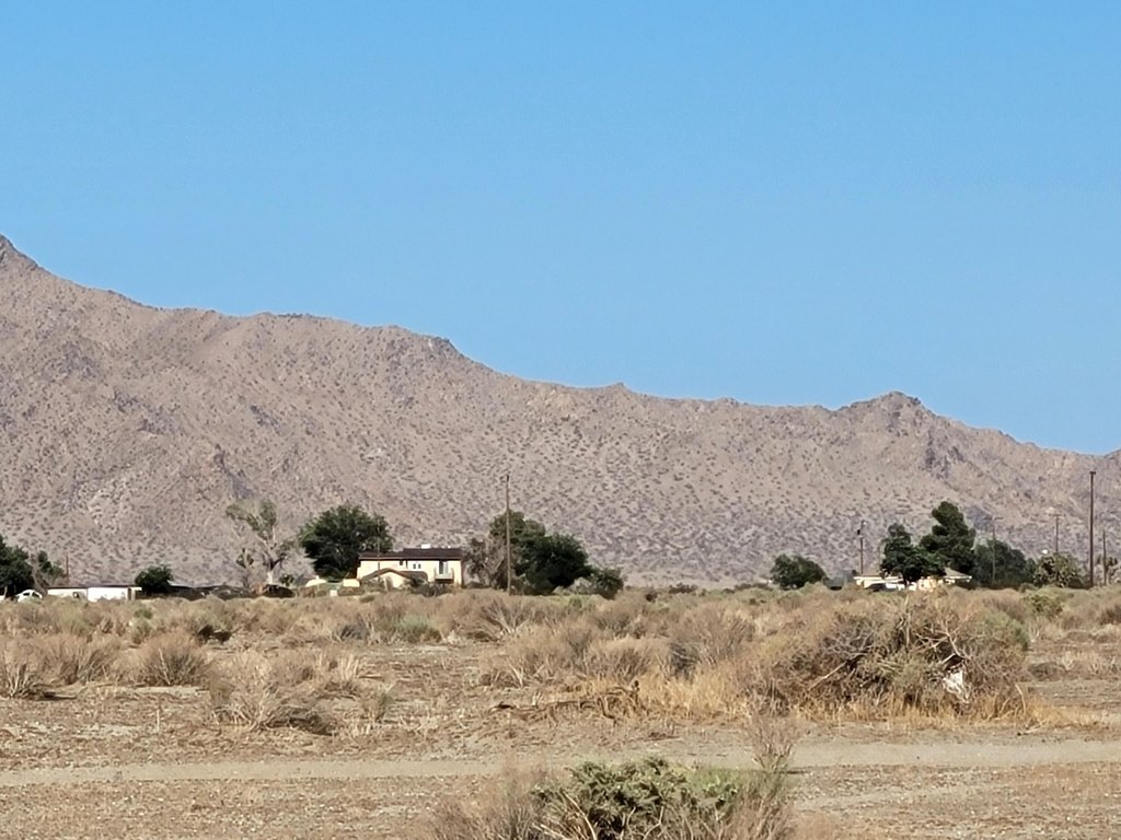 Picture 5