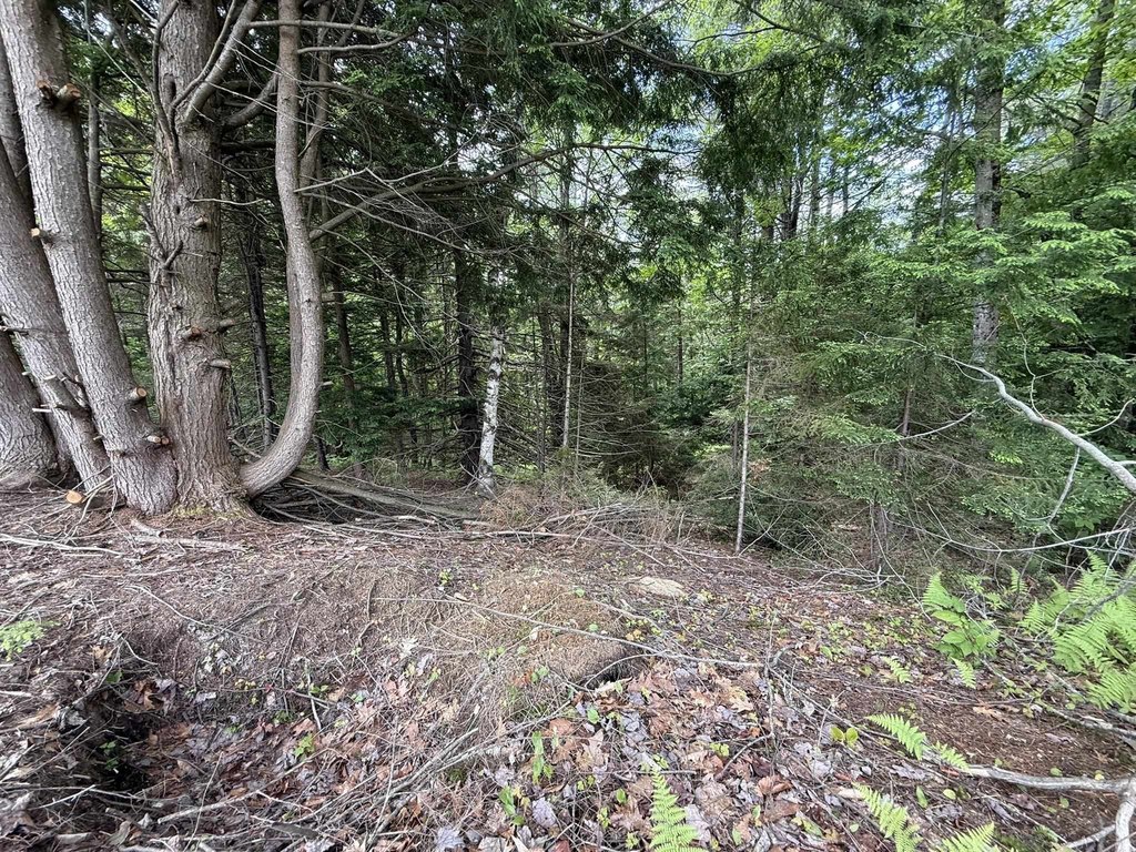 Picture 14