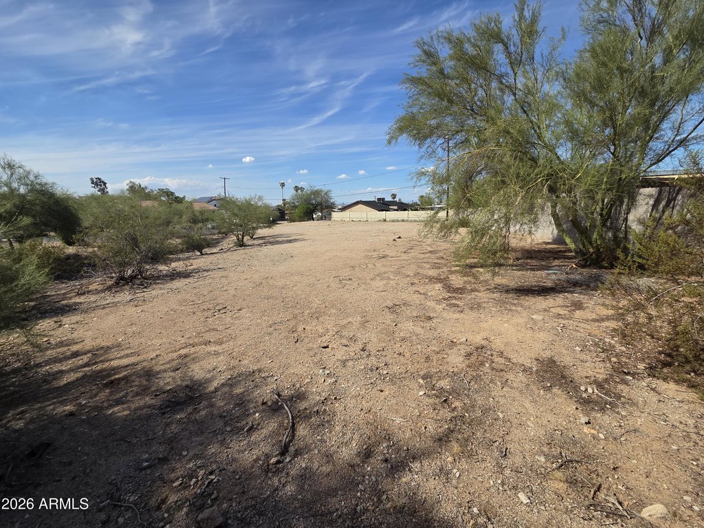 Picture 6