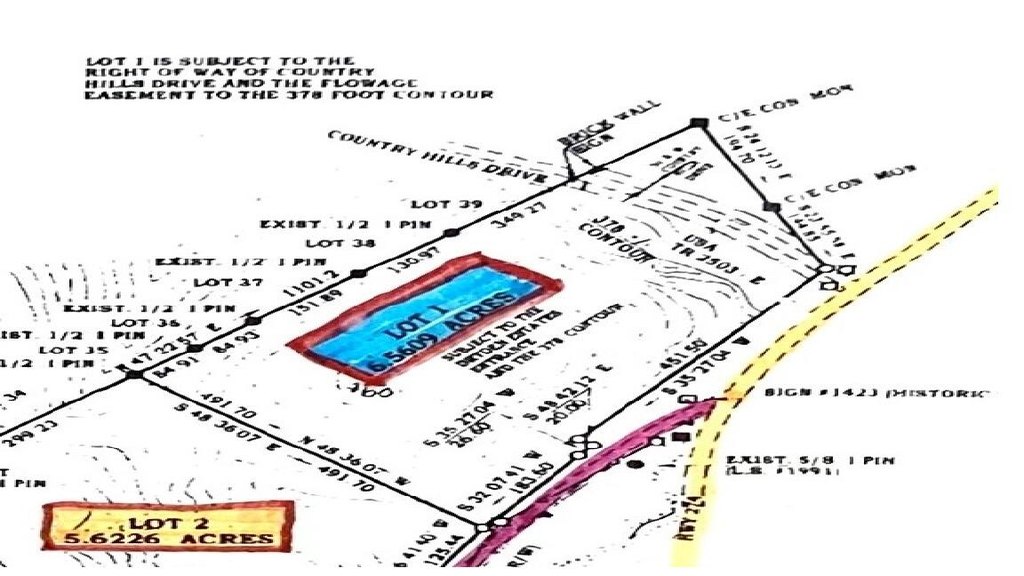 Picture 5