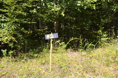 LAND - Eddyville, KY