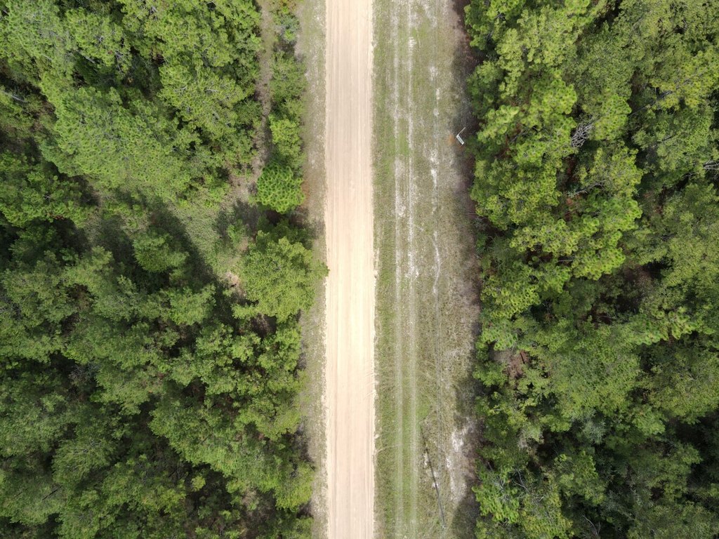 Picture 14
