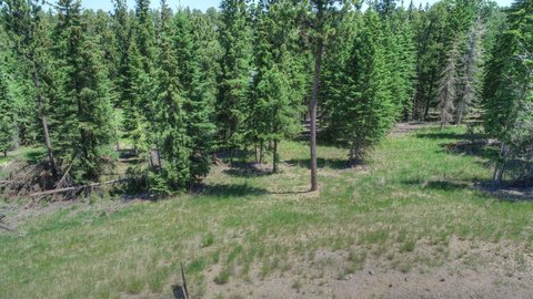 Wooded Residential Home Lot