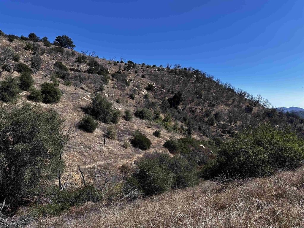 Valley Center 40-Acre Agricultural Land