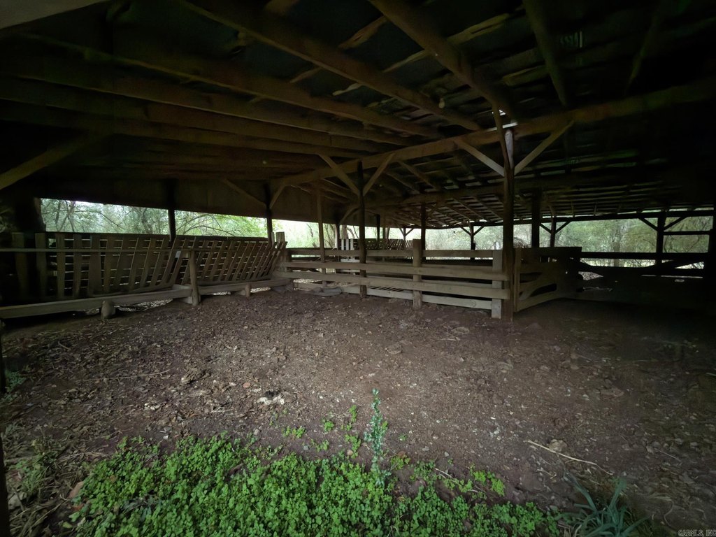 Picture 11