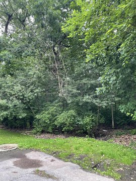 Residential Acreage in Cedar Lake