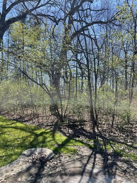 Residential Acreage in Cedar Lake