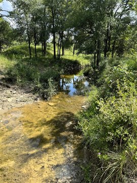 Ag-Exempt Ranch Land with Homesites