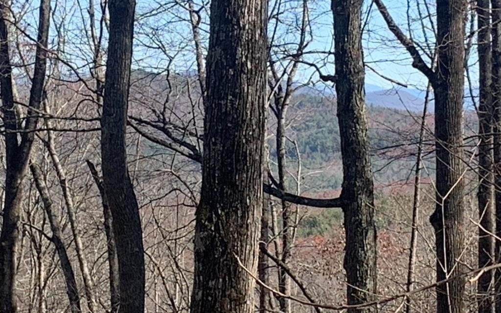 Blairsville Vacant Lot with View